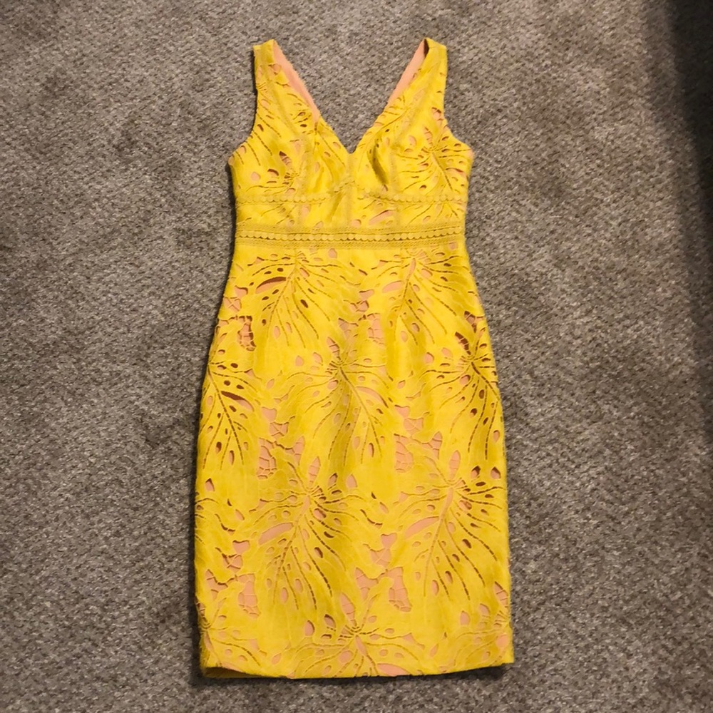 Beautiful Anthropologies Pencil Dress